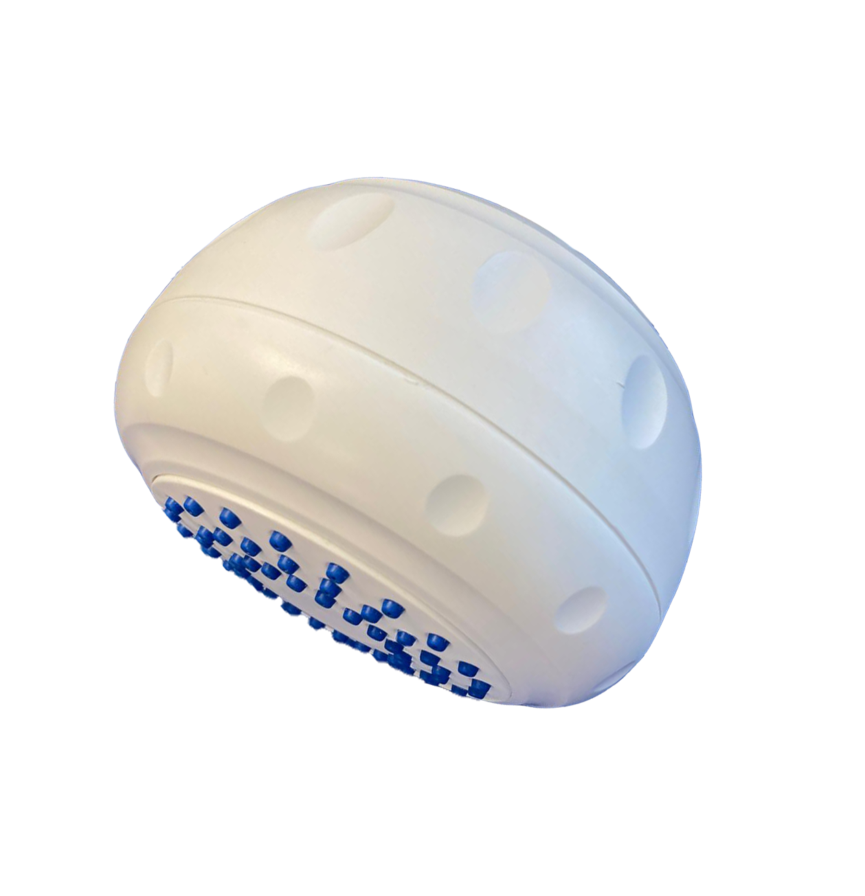 Productfoto voor Rada vaste douchekop met legionellafilter